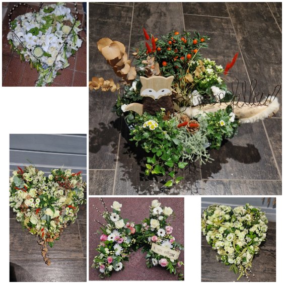 Fleurs naturelles - Image 4