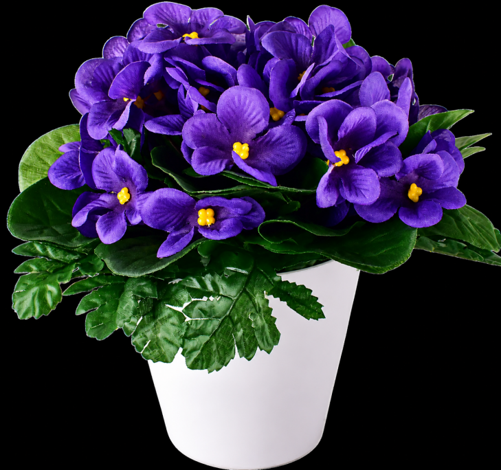 Fleurs et Articles funéraires - Image 17